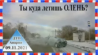 ДТП. Подборка на видеорегистратор за 09.11.2021 №106 Ноябрь 2021. Драка на дороге. Быдло и учителя