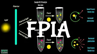 Fluorescence Polarisation Immunoassay | FPIA |