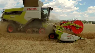 CLAAS Lexion 8700 + Convio flex