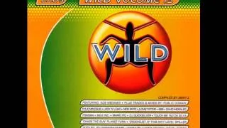 WILD FM VOLUME 13 - WILD VOLUME 13 MEGAMIX (KCB)