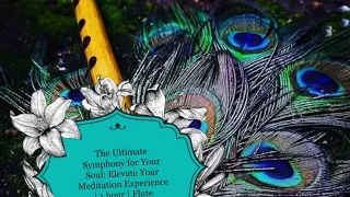 The Ultimate Symphony for Your Soul: Elevate Your Meditation Experience | 1 hour | Flute