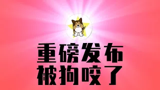 中国重磅发布，全地球没人理，尴尬！池子脱口秀内容，他还能回中国吗？被狗咬了，主要不是狗的错