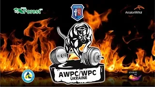 Кубок Украины WPC/AWPC