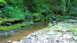 Brook Trout Heaven || Small Creek Fly Fishing