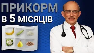 Перший прикорм дитини в 5 місяців - таблиця, схема, правила введення прикорму у віці 5 місяців