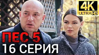 Сериал ПЕС 5 сезон - 16 серия - Все серии подряд в 4К - Смотреть онлайн в хорошем качестве