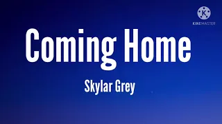 Skylar Grey - I'm Coming Home (lyric)