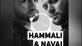 HAMMALI & NAVAI - Птичка (Remix)