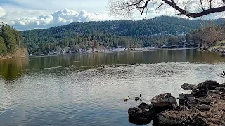 Nature walk at idyllic Lake Gregory in Crestline California - San Bernardino Mountains