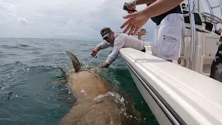 Goliath Fish