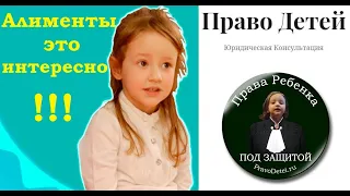 Как Не Платить АЛИМЕНТЫ - Закон Принят. Мнение адвоката.