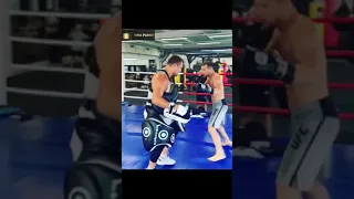 Petr Yan Smashing Pads