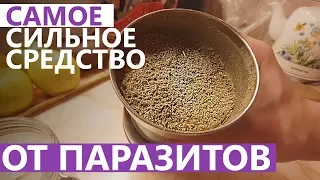 САМОЕ СИЛЬНОЕ СРЕДСТВО ОТ ПАРАЗИТОВ (ГЛИСТОВ)