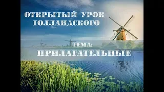 Открытый урок голландского языка. Тема "прилагательные"