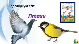 ЯДС 1  клас урок 58 Птахи автор підручника Жаркова