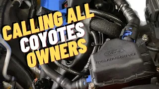 Coyote 5.0L Ford Performance catch can review and install
