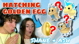 We Hatched Our GOLDEN EGG in Adopt Me!! Roblox Adopt Me