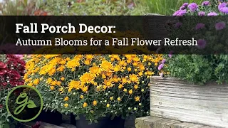 Fall Porch Decor: Autumn Blooms for a Fall Flower Refresh 🌻