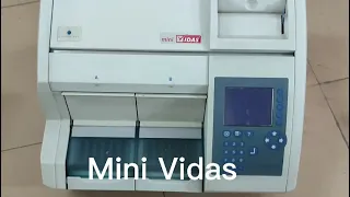 mini vidas