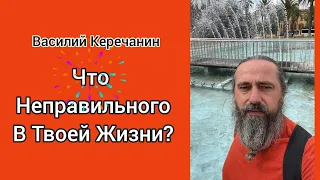 💥Противоречь Воспитанию, Которое В Тебя Заложили !!! В Этом Твоё Освобождение ! - Василий Керечанин.