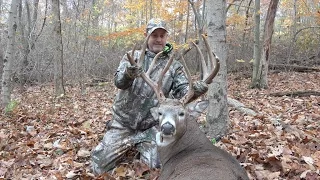 Whitetail Edge: Massive 183" Ohio Early Rut Buck!