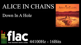 ALICE IN CHAINS - DOWN IN A HOLE. FLAC 44100Hz 16Bits.