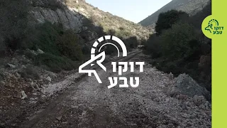 דוקו טבע - השפעות המלחמה על הטבע