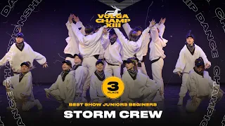 VOLGA CHAMP XIII | BEST SHOW JUNIORS begginers | 3rd place | Storm Crew
