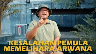 PENTING! KESALAHAN PEMULA SAAT PELIHARA IKAN ARWANA!!! | 88 RED GALLERY