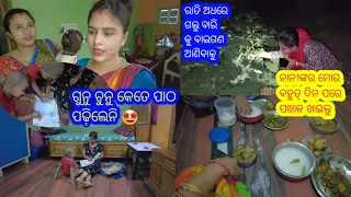 Farmhouse  କୁ ରାତି ଅଧ୍ ରେ ଗଲୁ ବାଇଗଣ ତୋଳିବାକୁ || GUNU CHUNU କେତେ ପାଠ ପଢ଼ି ଲେଣି || Gunu&Chunu Vlogger