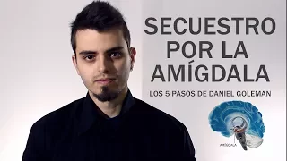 Secuestro Amigdalar, 5 pasos para gestionarlo - según Daniel Goleman