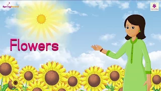 Flowers Nursery Rhyme For Children | Kids Songs | Baby Rhymes by Periwinkle