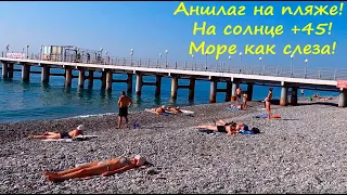 ЛАЗАРЕВСКОЕ 2020🌴Аншлаг на пляже! На солнце +45! Вода как слеза, а собаки кайфуют в "Прибое"!