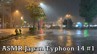 ASMR ver. Japan Typhoon 14 Rain Walk #1 2021.09.18 Ambient Sound Sleep Meditate Relax Tokyo Suburb