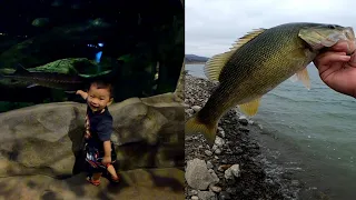 Solo day Bass Fishing at Lake Berryessa and Tristan goes back to BassPro!