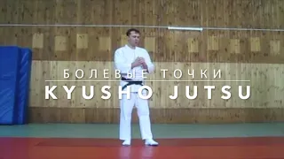 KYUSHO JUTSU. Болевые точки