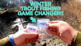 Trout Fishing a World Class Creek in The Mountains (Extremely Pressured!)