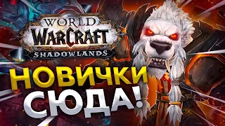 ОТ ИГРЫ НУЖНО ПОЛУЧАТЬ УДОВОЛЬСТВИЕ WoW Shadowlands