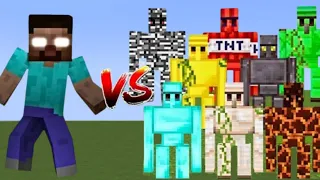 HEROBRINE VS ALL GOLEMS | Minecraft Mob Battle