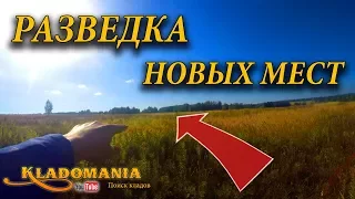 РАЗВЕДКА НОВЫХ МЕСТ для копа. Поиск монет в лесу. Как искать новые места в лесу