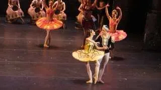 Oksana Kardash / Sergei Polunin - La Bayadere