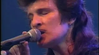 Mink DeVille - Heaven Stood Still