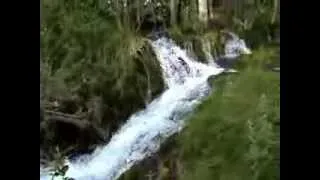 NACIMIENTO RIO JUCAR (P.N. SERRANÍA DE CUENCA)