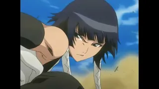 Soi Fon and Yoruichi’s warning for Aizen