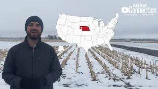 Safra Soja/Milho EUA 2021 - Abril - Está nevando durante o plantio?