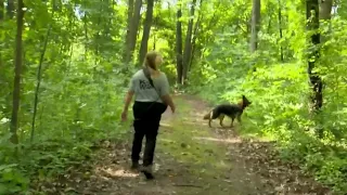 Watch how a local K9 search & rescue team trains