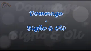 Prompteur karaoké - Stéfane Lyre - Dommage - Big Flo & Oli