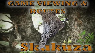 Skukuza Rest Camp: Game viewing and Routes | Kruger National Park