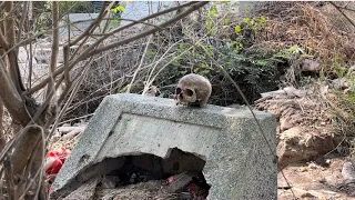 GHANA'S CREEPIEST CEMETERIES