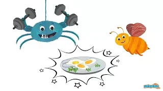 Health benefits of eggs - Ask Coley - Health Tips for Kids | Educational Videos by Mocomi